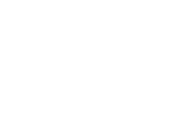 LL Carpentry and Trim